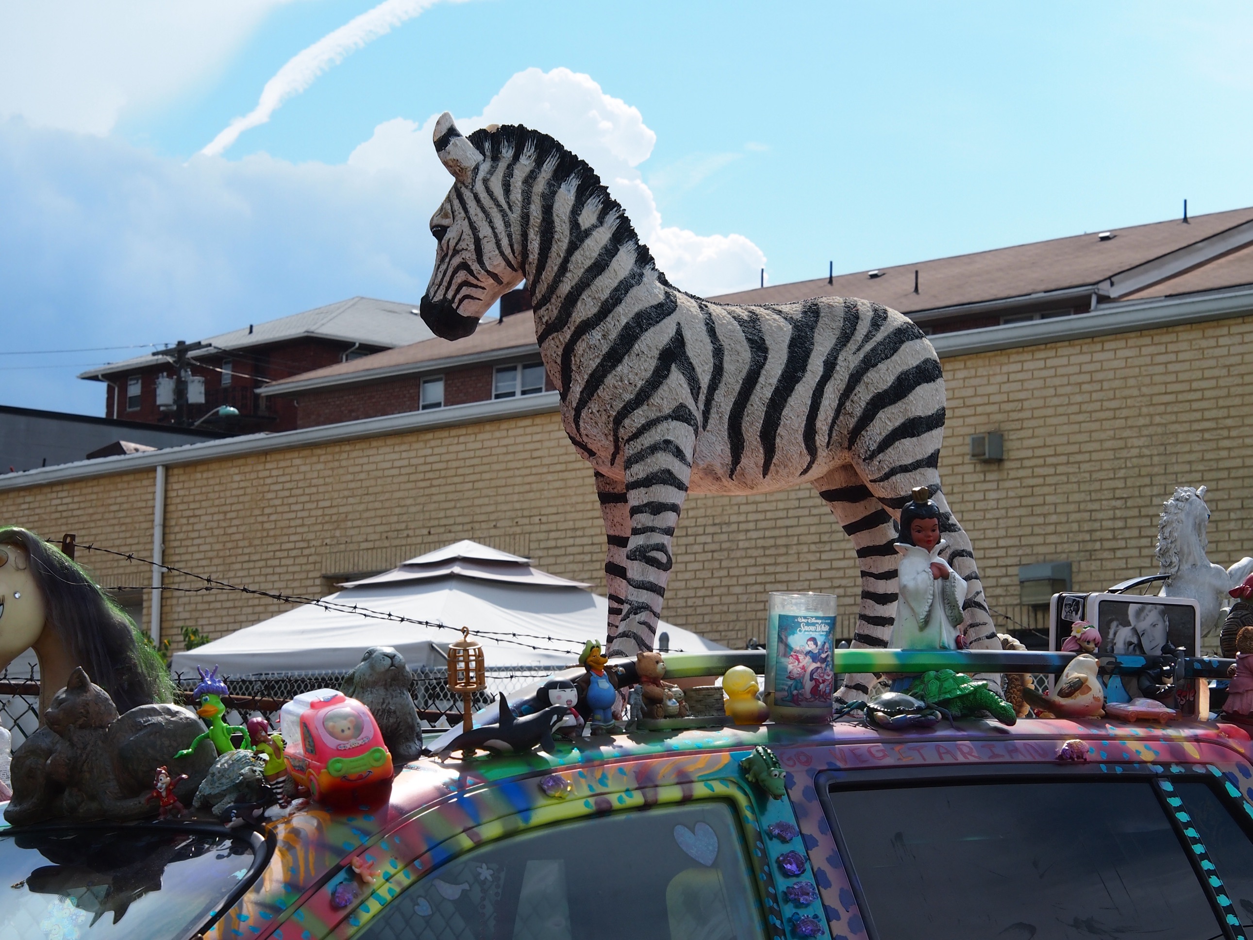 show_car-12