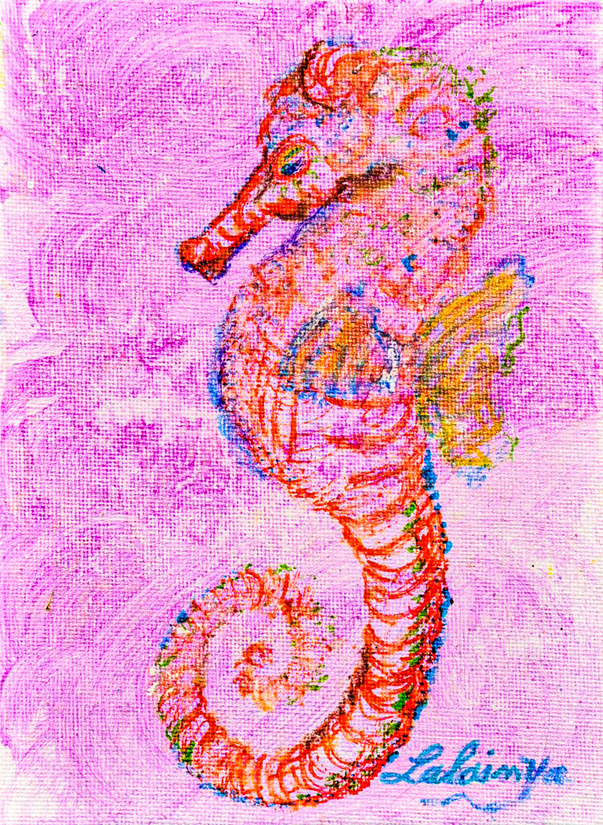 Small Seahorse In Magic Markers